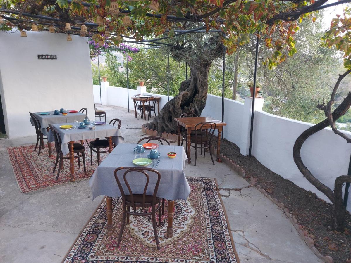 לינה וארוחת בוקר Coín Casa Loko מראה חיצוני תמונה